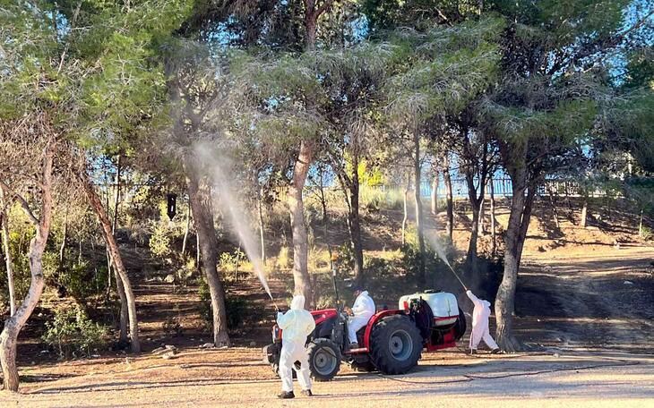 Alumnos del Taller de Empleo realizan trabajos contra la procesionaria del pino en el parque de El Moralet